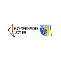 MSV-Oberhausen rc msv rc plane msv-o Sticker