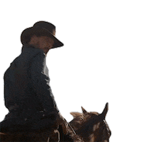 Benedict Cumberbatch Sticker by NETFLIX