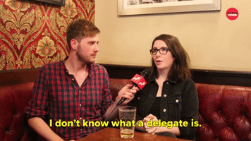 I Don't Know What A Delegate Is