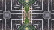 Art Video GIF by jorgemariozuleta