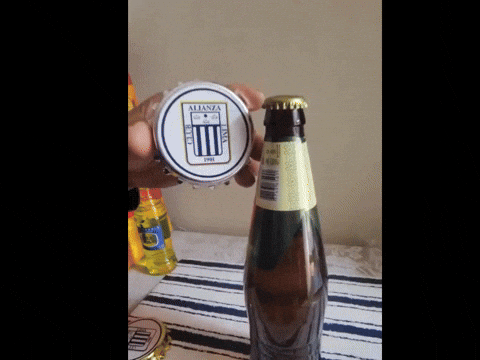 fechata giphyupload GIF