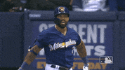 major league baseball sport GIF by MLB