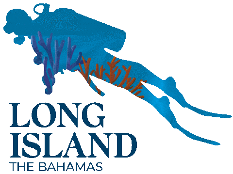 Long Island Caribbean Sticker by visitthebahamas