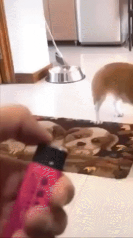 leninja giphyupload GIF