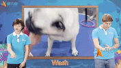 alo7 english total physical response GIF by ALO7.com