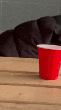 Vividd GIF by thatcloudstudio