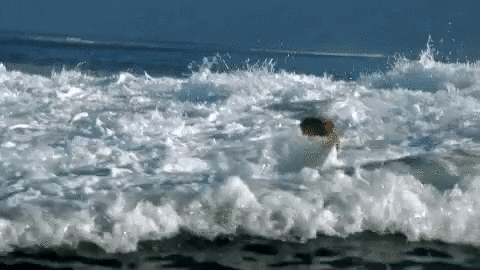 GIF by Awesome GIFs