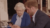 harry GIF