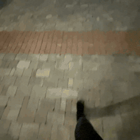 Fullsail Fsnation GIF by Full Sail University