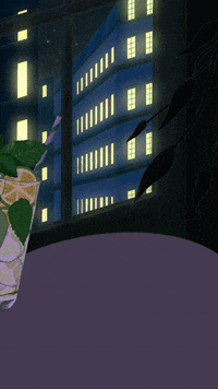 jjong_Ari 블라블라스튜디오 쫑아리 블라블라 GIF