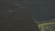 grand canyon river GIF by LeVar Burton Kids
