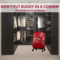 TravelSentry  GIF