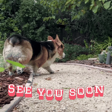 Happy See You Soon GIF