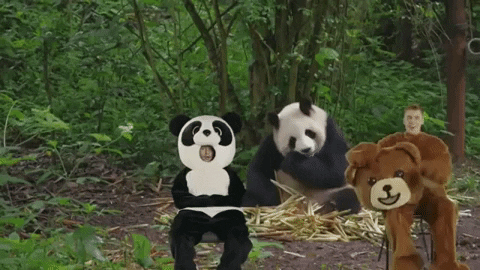 justin bieber i dont care GIF by Ed Sheeran