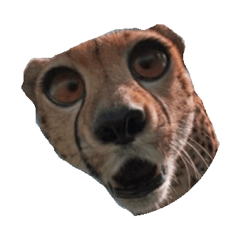 derp STICKER by imoji