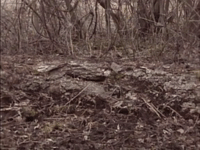 nickrewind nicksplat are you afraid of the dark the tale of the frozen ghost GIF