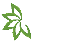 Seminole Heights Diy Sticker