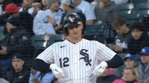 Celebrate White Sox GIF by MLB