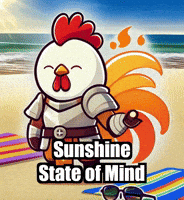 Summer Beach GIF by Zorooster