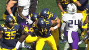 College Football GIF by WVU Sports