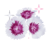 The Other Side Stars Sticker