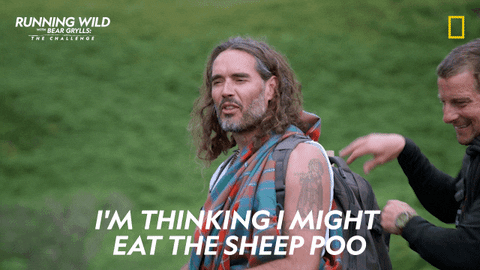 Hungry Nat Geo GIF by National Geographic Channel