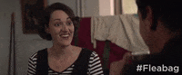 season 2 GIF by Fleabag
