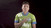 Two Stars Sport GIF by Seattle Sounders