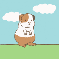 Licht 歩く GIF