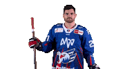 Bennett Sticker by Adler Mannheim
