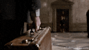 eddie redmayne fanastic beasts GIF by mtv