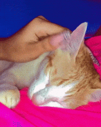 Instant Acrylics GIF by Trés She