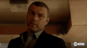 ray donovan drama GIF by Showtime
