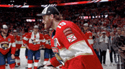 Stanley Cup Playoffs Win GIF by NHL