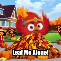 Fall Autumn GIF by The Cardinal Virtue