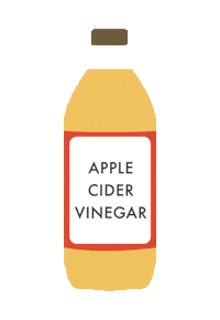 apple cider salad Sticker by Eating Bird Food