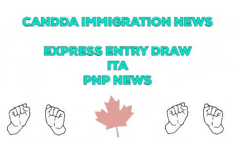 aptechvisa giphygifmaker giphyattribution canada immigration news canada immigration news 2019 for indian GIF