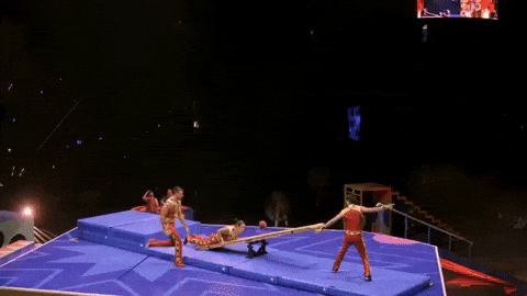 Flip Trick GIF by Ringling Bros. and Barnum & Bailey
