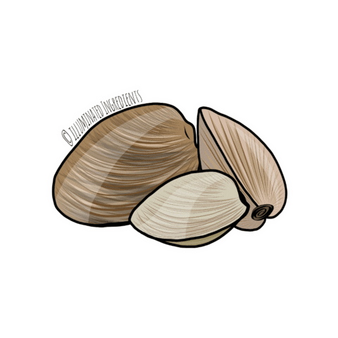 IlluminatedIngredients  Sticker