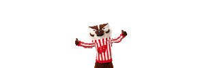 Uw Madison Wfaa Sticker by Wisconsin Foundation and Alumni Association