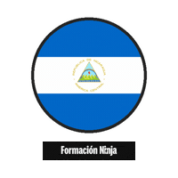 Flag Bandera Sticker by Formación Ninja