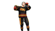 University Of Guelph Dance Sticker by Guelph Gryphons