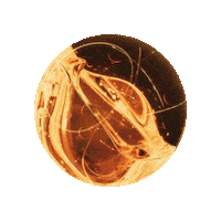 Bubble Drop Sticker by Clarins