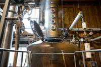 rogueales loop steam oregon whiskey GIF