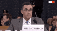 news impeachment impeachment inquiry tim morrison GIF