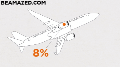 Momotaj giphygifmaker aircraft bird strike GIF