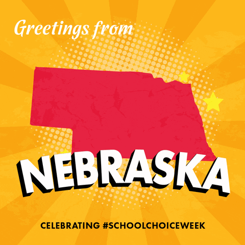 School Choice Education GIF by National School Choice Week