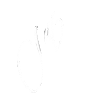 Calligraphy Soul Sticker
