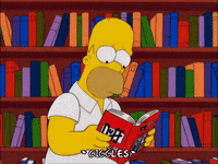 homer simpson GIF