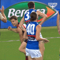 Excited Aussie Rules GIF by Essendon FC